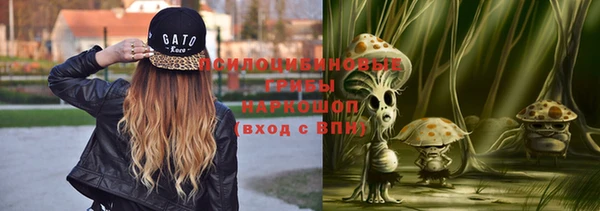 дживик Алексин