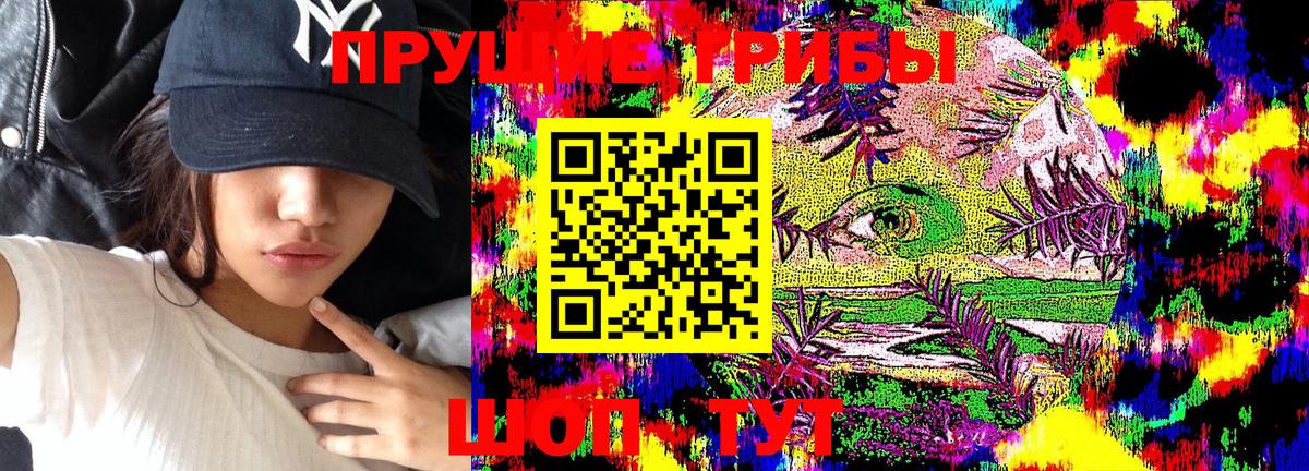 Галлюциногенные грибы Cubensis Бирск